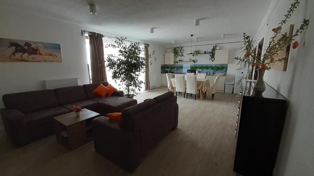 Bibic Apartman A Kapolnasnyek Екстер'єр фото